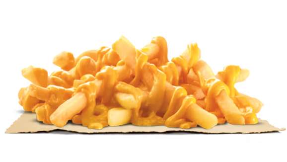 Cheesy Fries
