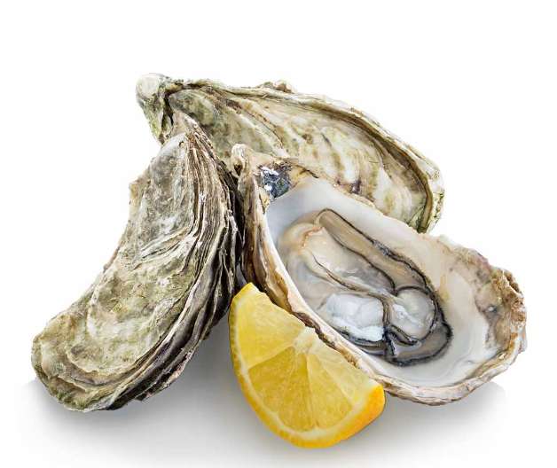 Oysters, Les Huîtres