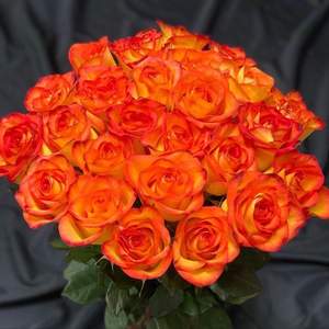 Bouquet de 15 roses orange vip